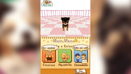 Игра Nintendo DS Puppy Palace Английская Версия Б/У - Retromagaz, image 2