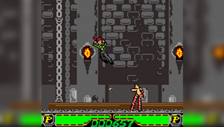 Игра Nintendo Game Boy Color Shrek: Fairy Tale Freakdown Английская Версия Только Картридж Б/У - Retromagaz, image 4