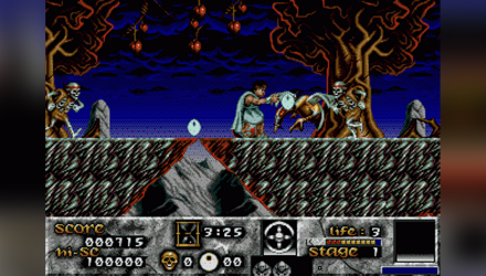 Гра Sega Mega Drive Risky Woods Europe Англійська Версія Без Мануалу Б/У - Retromagaz, image 4