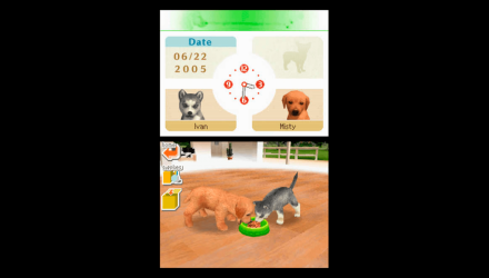 Игра Nintendo DS Nintendogs Dachshund & Friends Английская Версия Б/У - Retromagaz, image 3