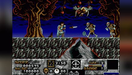 Гра Sega Mega Drive Risky Woods Europe Англійська Версія Без Мануалу Б/У - Retromagaz, image 1
