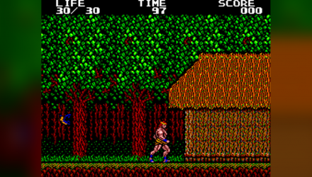 Игра Sega Master System Danan: The Jungle Fighter Английская Версия Б/У - Retromagaz, image 1