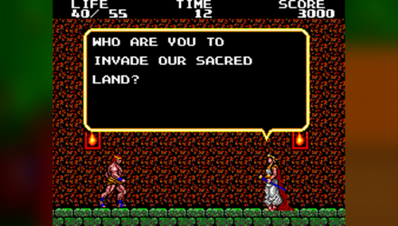 Игра Sega Master System Danan: The Jungle Fighter Английская Версия Б/У - Retromagaz, image 5