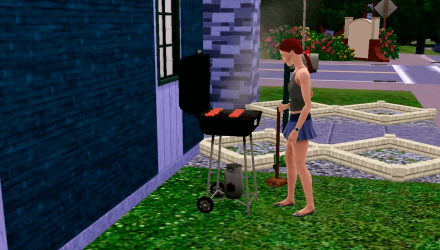 Игра Microsoft Xbox 360 The Sims 3 Pets Английская Версия Б/У - Retromagaz, image 6