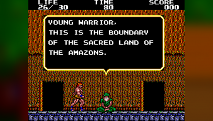 Игра Sega Master System Danan: The Jungle Fighter Английская Версия Б/У - Retromagaz, image 3