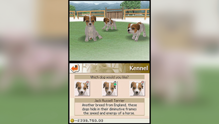 Гра Nintendo DS Nintendogs Dalmatian & Friends Англійська Версія Б/У - Retromagaz, image 6