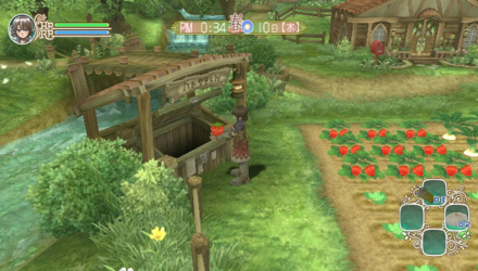 Гра Nintendo Wii Rune Factory Frontier Europe Англійська Версія Б/У - Retromagaz, image 5