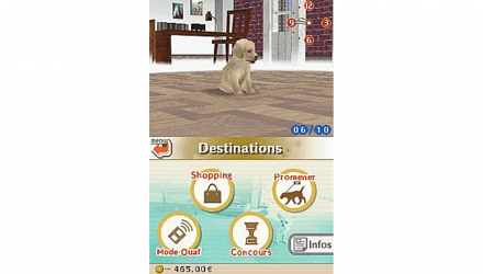 Игра Nintendo DS Nintendogs Lab & Friends Английская Версия Б/У - Retromagaz, image 5