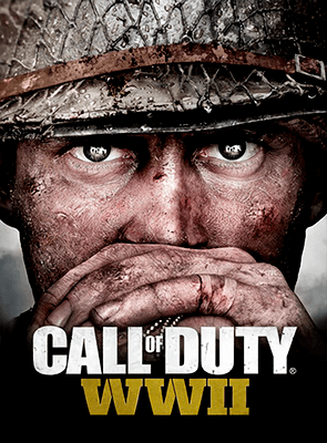 Игра Sony PlayStation 4 Call of Duty: WWII Русская Озвучка Б/У Хороший