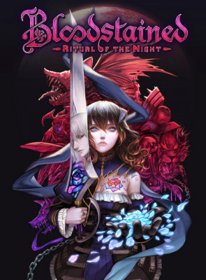 Гра Nintendo Switch Bloodstained Ritual of the Night Англійська Версія Б/У - Retromagaz