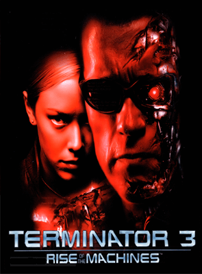 Гра Sony PlayStation 2 Terminator 3 Rise of the Machines Europe Англійська Версія + Обкладинка Б/У Хороший