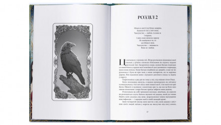Книга Одне темне вікно. Книга 1 Рейчел Ґілліґ - Retromagaz, image 2