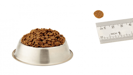 Сухий Корм для Собак Acana Adult Small Breed Recipe 340g - Retromagaz, image 4