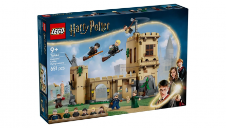Конструктор Lego Замок Гоґвортс: Уроки Польотів Harry Potter 76447 Новий - Retromagaz, image 1
