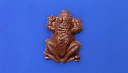 Шоколад Jelly Belly Chocolate Frog Harry Potter 15g - Retromagaz, image 6