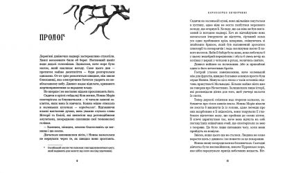 Набір Книг Керрі Маніскалко:  Королівство Нечестивих. Книга 1  + Королівство Проклятих. Книга 2 - Retromagaz, image 2