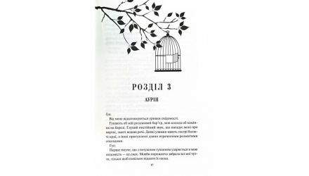 Книга Золото. Книга 5 Рейвен Кеннеді - Retromagaz, image 3
