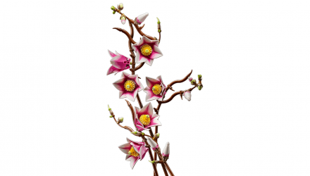 Конструктор Lego Гілки Магнолії Botanicals 11510 Новий - Retromagaz, image 7