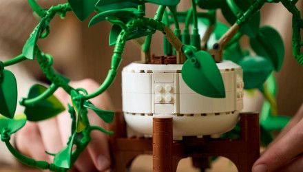Конструктор Lego Звислий Епіпремнум Золотистий Botanicals 11512 Новий - Retromagaz, image 5