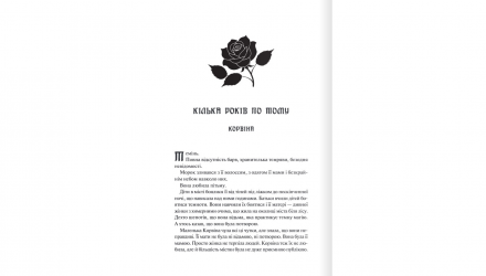 Книга Готикана RuNyx - Retromagaz, image 2