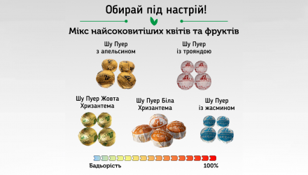 Чай у Міні-Точах Пуер New Tea 20 Порцій Соковитий Мікс - Retromagaz, image 1