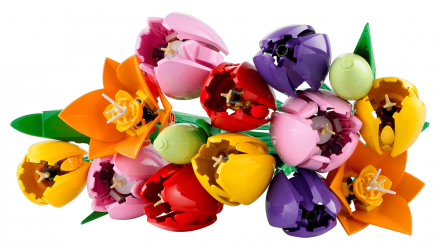 Конструктор Lego Букет Тюльпанів Botanicals 11501 Новий - Retromagaz, image 4