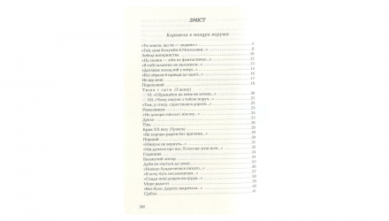 Набір Книг Триста Поезій Ліна Костенко  + Задивляюсь у Твої Зіниці Василь Симоненко+ Іздрик: Ліниві і Ніжні Юрій Іздрик - Retromagaz, image 4