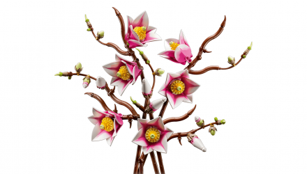 Конструктор Lego Гілки Магнолії Botanicals 11510 Новий - Retromagaz, image 2