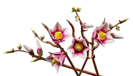 Конструктор Lego Гілки Магнолії Botanicals 11510 Новий - Retromagaz, image 5