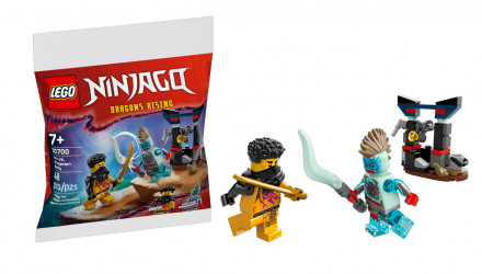 Конструктор Lego Арин Против Дракона: Битва Ninjago 30700 Новый - Retromagaz, image 1