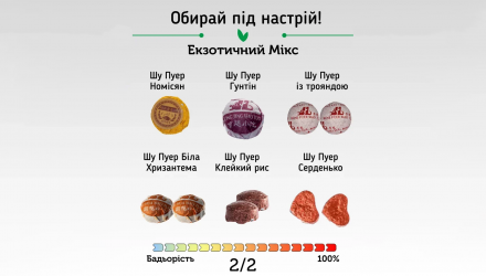 Чай у Міні-Точах Пуер New Tea 20 Порцій Екзотичний Мікс - Retromagaz, image 3