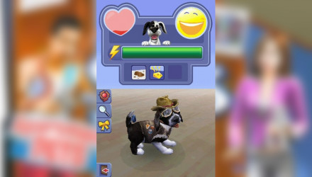 Игра Nintendo DS The Sims 2 Apartment Pets Английская Версия Б/У - Retromagaz, image 4
