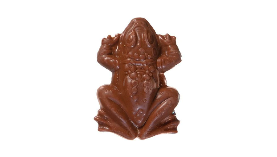 Шоколад Chocolate Frog Harry Potter 15g 071570001827