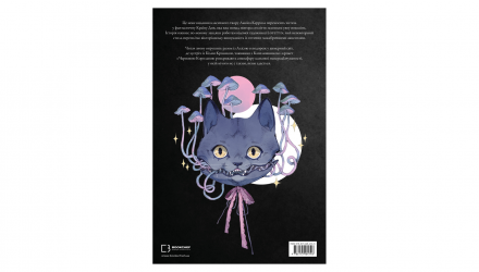 Книга Аліса в Країні Див Льюїс Керрол - Retromagaz, image 4