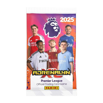 Наклейки Premier League 2025 PANINI - Retromagaz