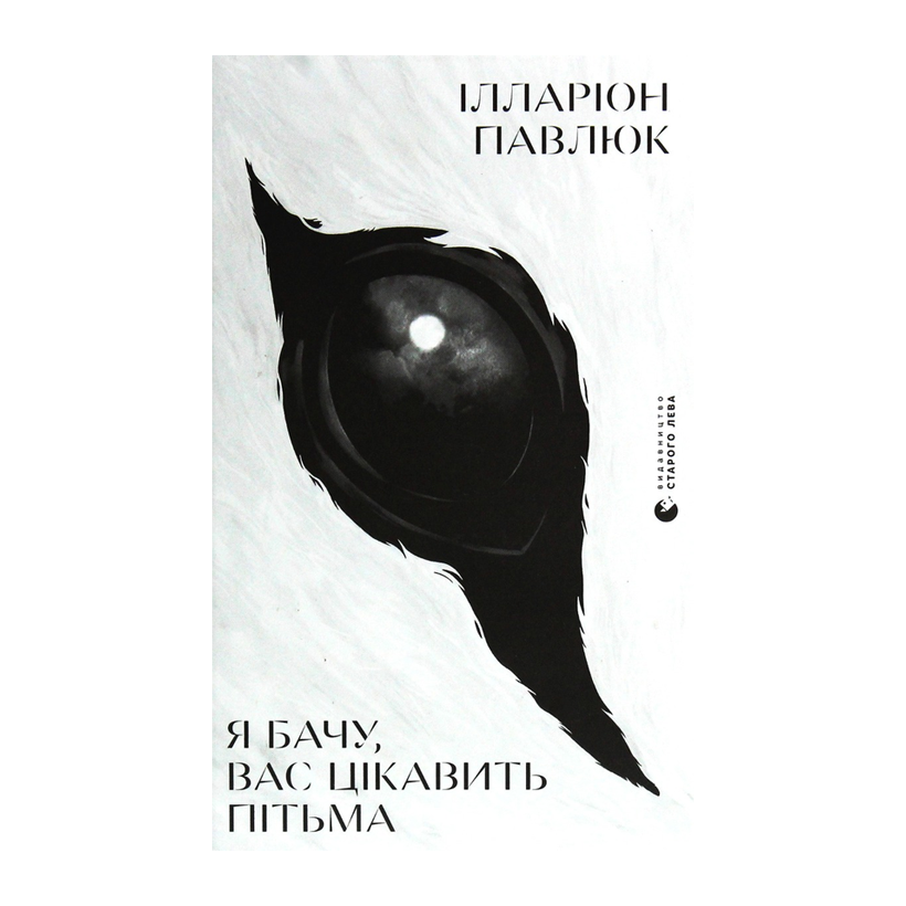 Книга Я Вижу, Вас Интересует Тьма Илларион Павлюк - Retromagaz