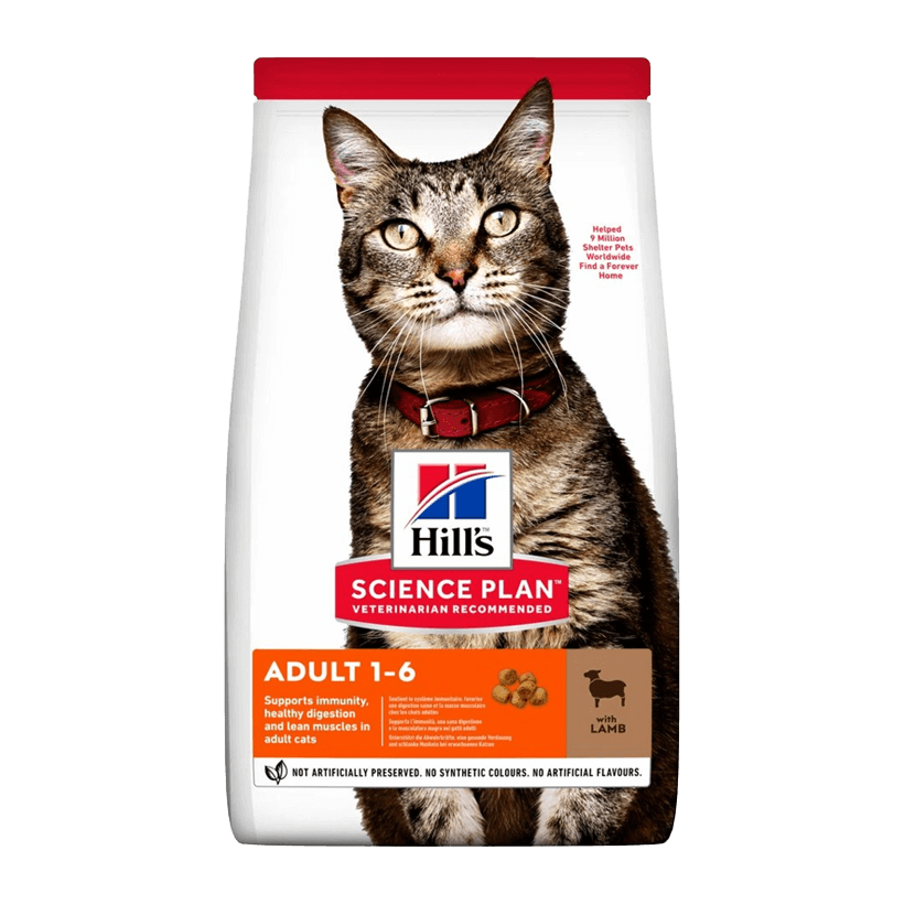 Сухой Корм для Кошек Hill's Science Plan Feline Ягненок 300g - Retromagaz