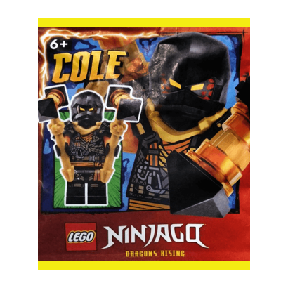 Конструктор Lego Фігурка Cole paper bag #2 Ninjago 892408 njo888 Новий - Retromagaz