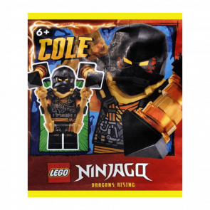 Конструктор Lego Фігурка Cole paper bag #2 Ninjago 892408 njo888 Новий