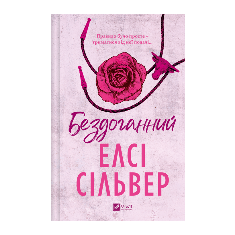 Книга Бездоганний. Чеснат Спрінгс. Книга 1 Елсі Сілвер - Retromagaz