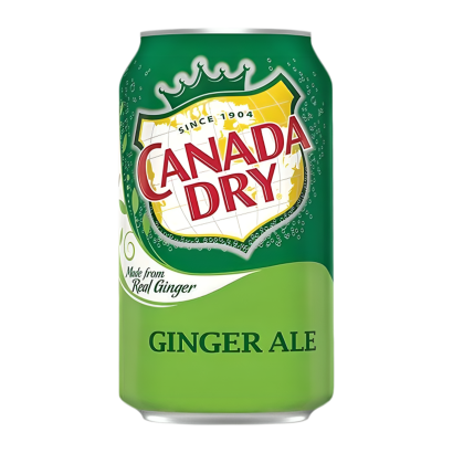 Напиток Canada Dry Ginger Ale 330ml - Retromagaz