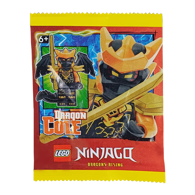 Конструктор Lego Фігурка Dragon Cole Paper Bag Ninjago L0002206 njo1035 Новий - Retromagaz