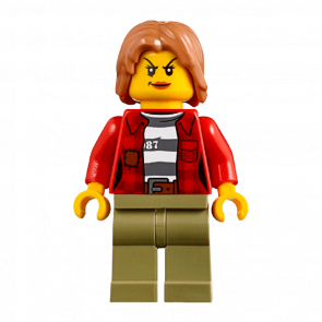Фигурка Lego City Police 973pb3009 Crook Female Jacket over 87 Prison Stripes cty0851 1шт Б/У Хороший - Retromagaz