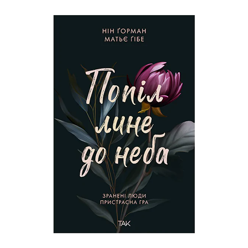 Книга Попіл Лине до Неба. Том 1 Матьє Гібе, Нін Ґорман - Retromagaz