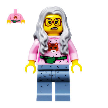 Фигурка Lego Cartoons The Lego Movie Mrs. Scratchen-Post tlm006 Б/У Нормальный - Retromagaz