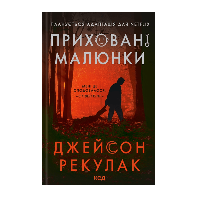 Книга Приховані Малюнки Джейсон Рекулак - Retromagaz