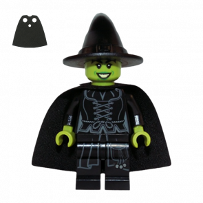 Фигурка Lego DC Wicked Witch Super Heroes dim005 Б/У - Retromagaz