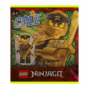 Конструктор Lego Фігурка Cole Paper Bag #1 Ninjago 892295 njo0758 Новий - Retromagaz
