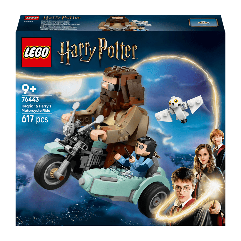 Конструктор Lego Поездка Хагрида и Гарри на Мотоцикле Harry Potter 76443 Новый - Retromagaz