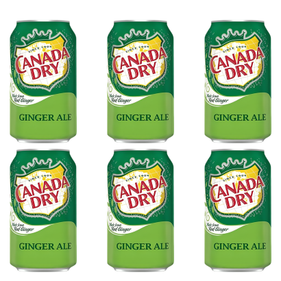 Набор Напиток Canada Dry Ginger Ale 330ml 6шт - Retromagaz